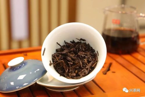 再給一次機會，茶葉店升級之道 倉儲服務轉型策略